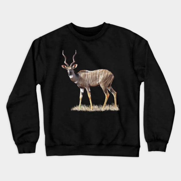 Kudu - Lesser Kudu - Antelope in Africa Crewneck Sweatshirt by T-SHIRTS UND MEHR